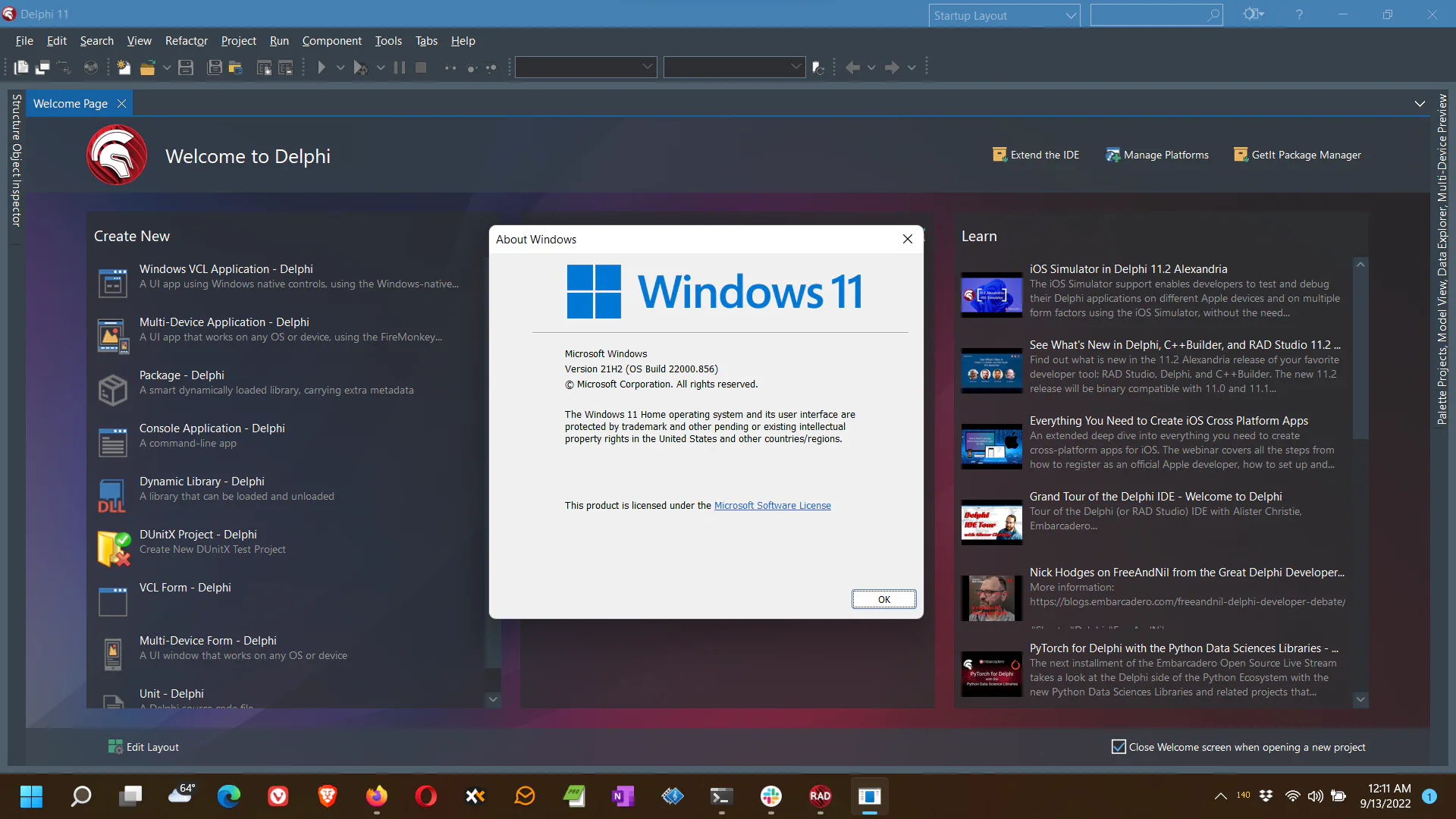 WinVer showing Windows 11 on top of Delphi 11 in the background