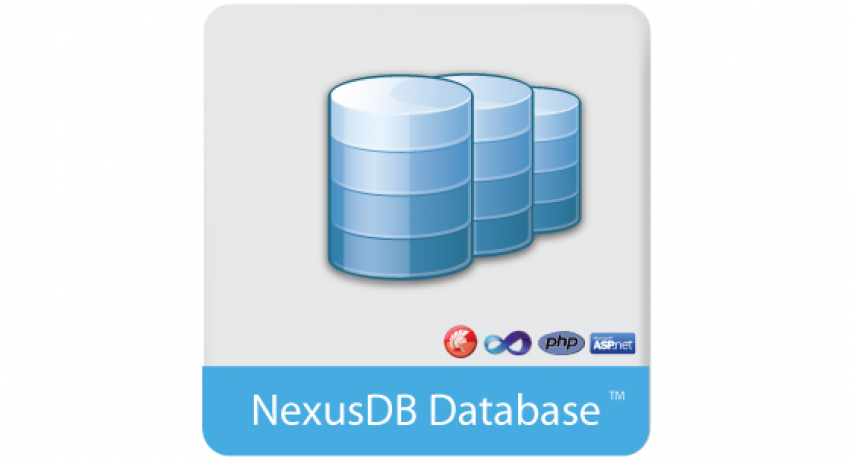 NexusDB logo